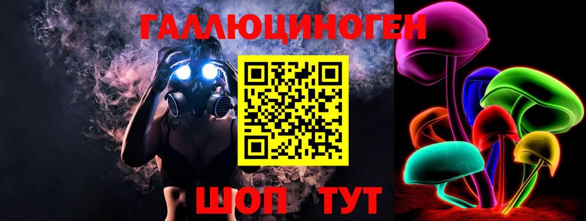 Псилоцибиновые грибы Psilocybe  Вход с VPN  Гусев 